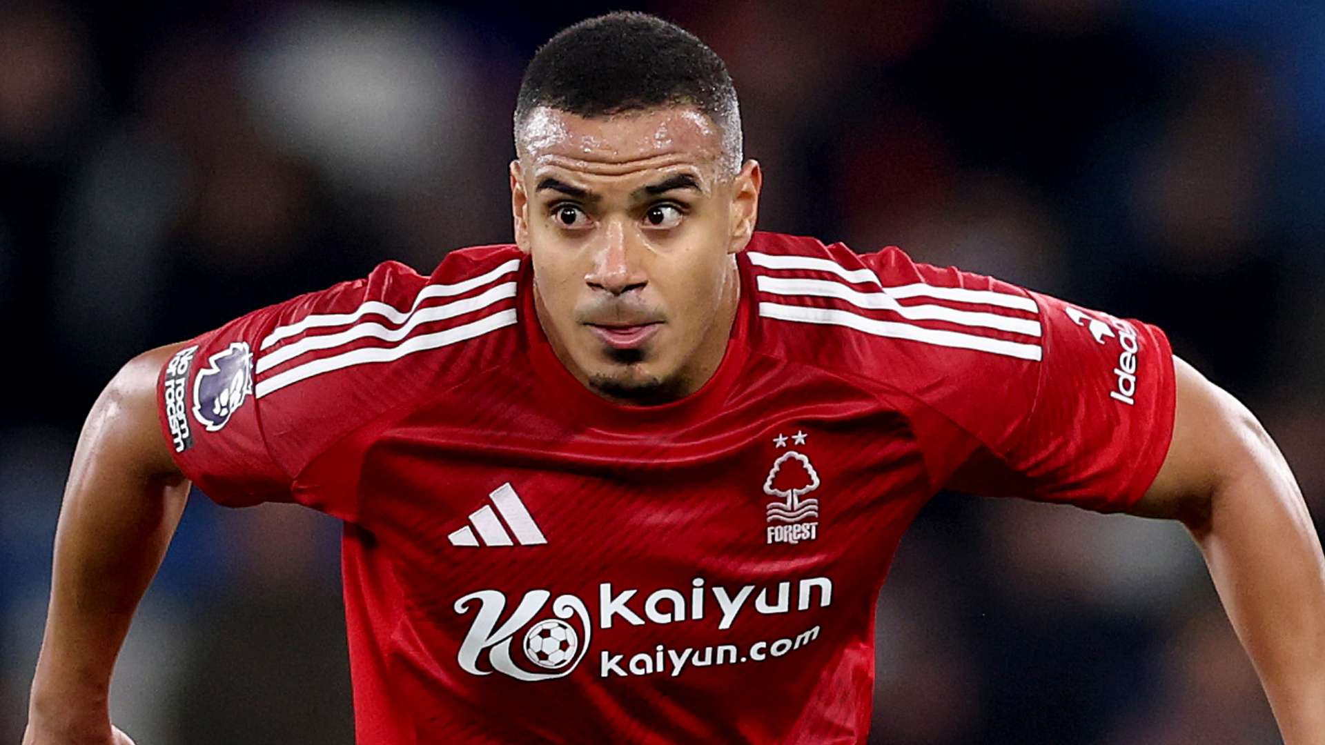 也成为球迷 也成为球迷